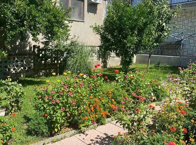 Dalila Lejlighed Mostar